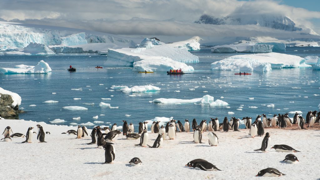 Antarctic Peninsula (16)