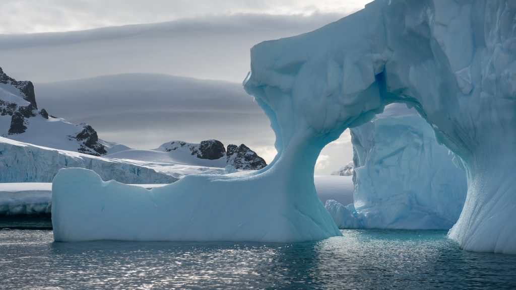 Antarctic Peninsula (22)